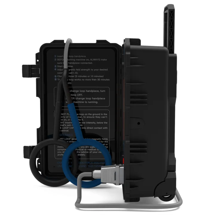 Pemf Physiotherapy Machine