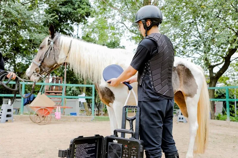PEMF horse equipment we sell PEMF horse equipment we sell