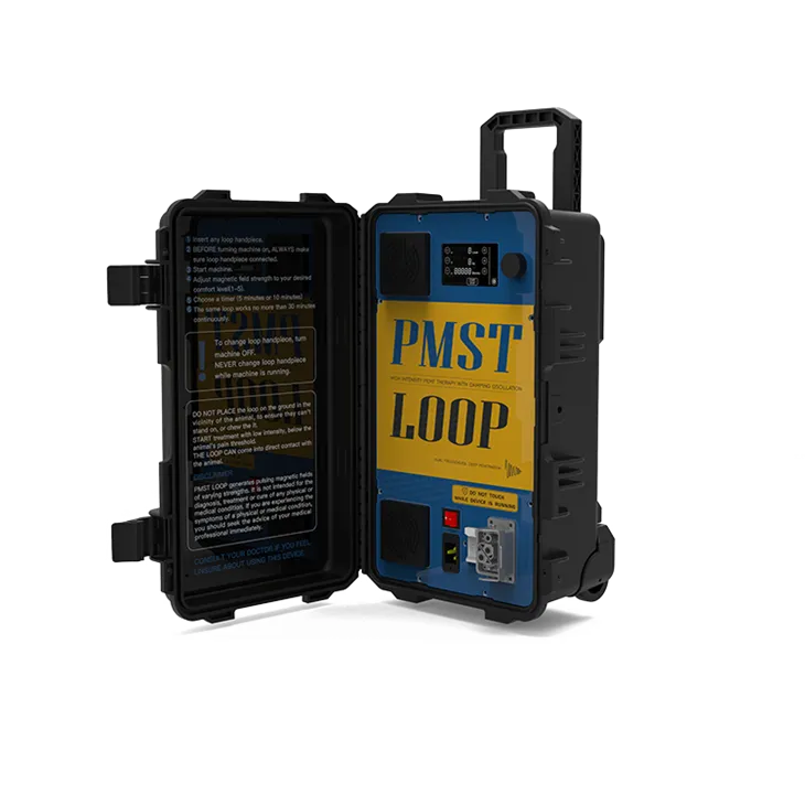 ہائی انٹینسٹی پی ایم ایف ڈیوائس