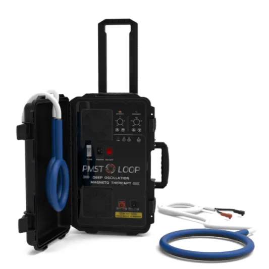 گھوڑوں کے لئے پی ای ایم ایف کی تربیت